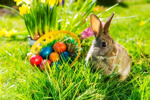 Easter words and traditions