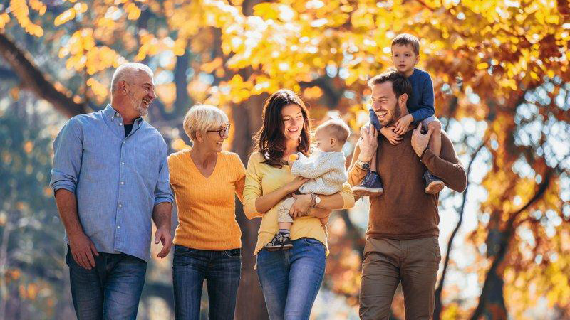Modelos familiares