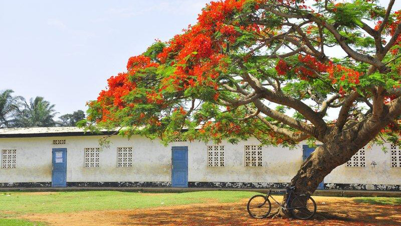 Escuelas rurales
