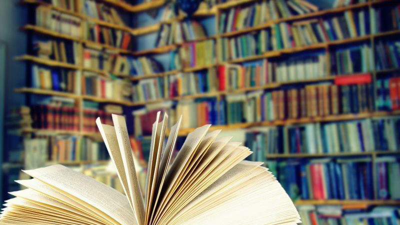La literatura