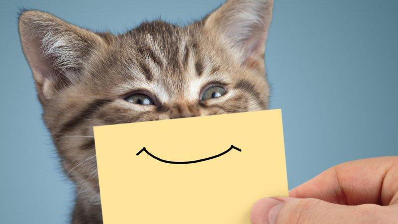¿Eres feliz?