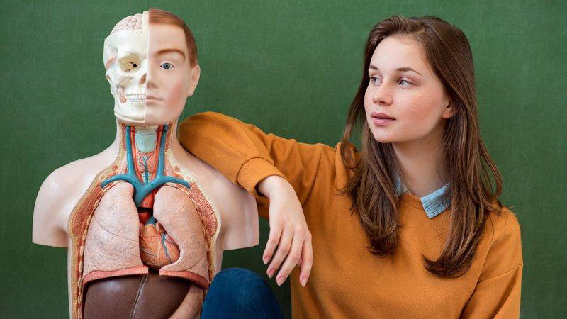 El cuerpo humano
