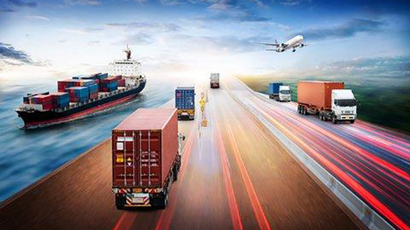 Los transportes en la vida diaria