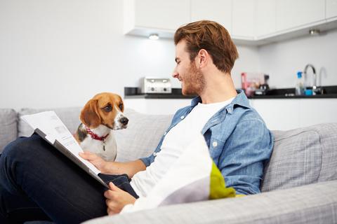 Keeping pets