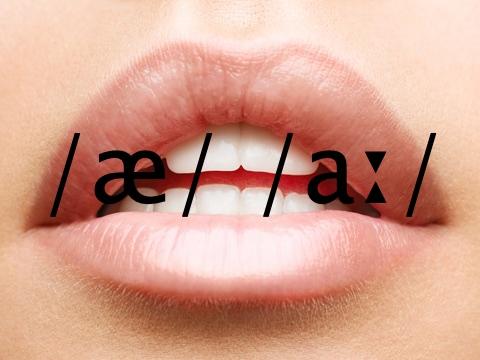 Long and short vowels 1