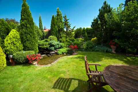 Nature and the garden