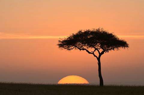 African potential