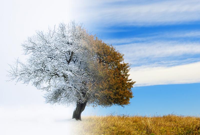 Seasons and months