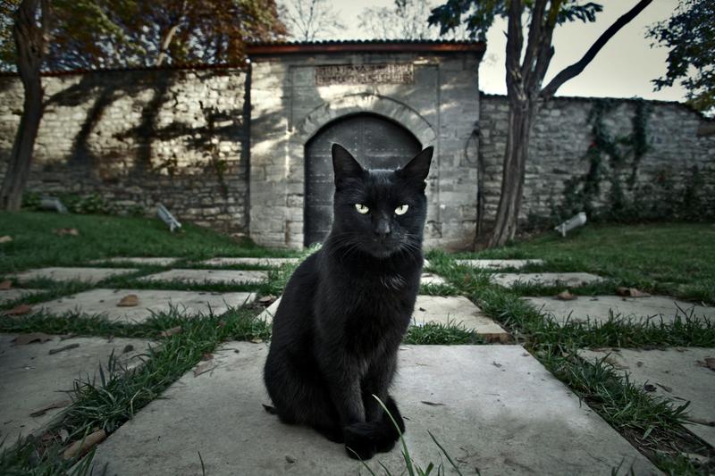 Superstition