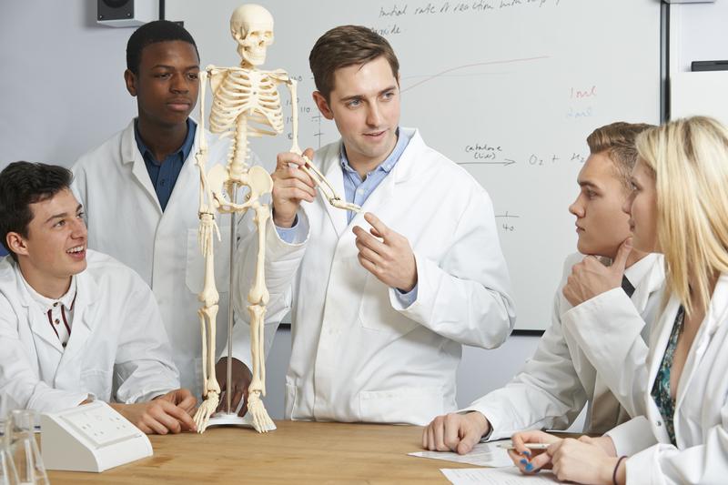 The body