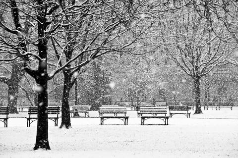 Winter