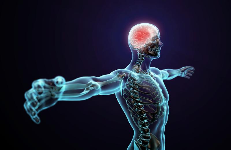 Brain control
