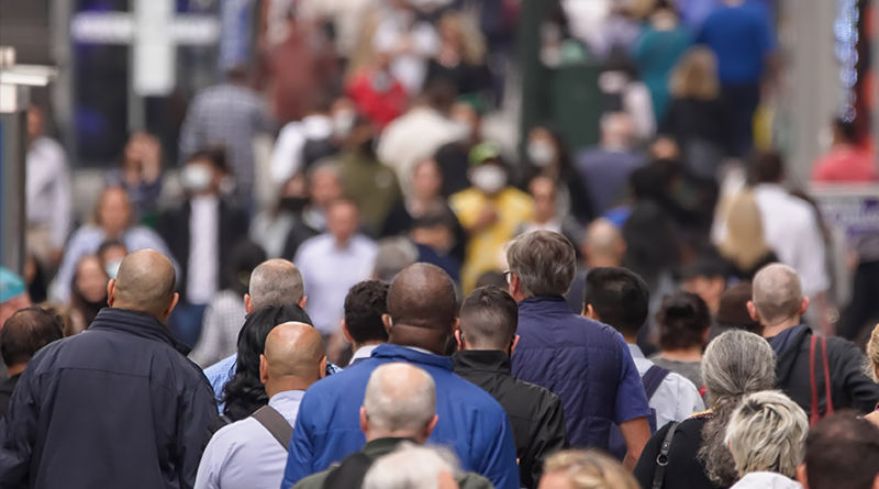 Sortie aux expositions temporaires