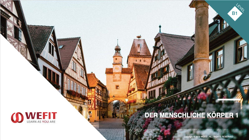 Der menschliche Körper Teil 1