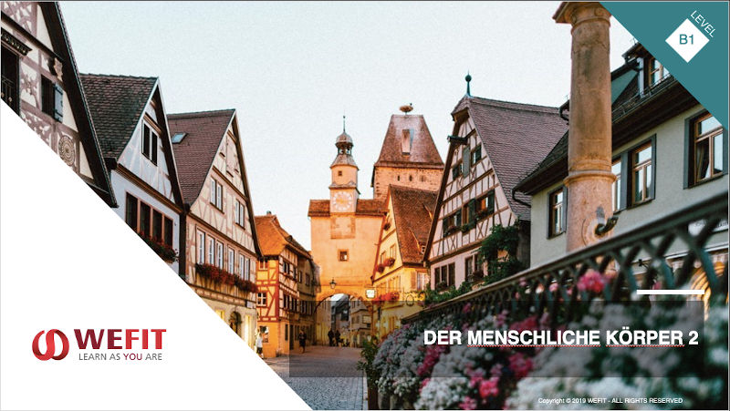 Der menschliche Körper Teil 2